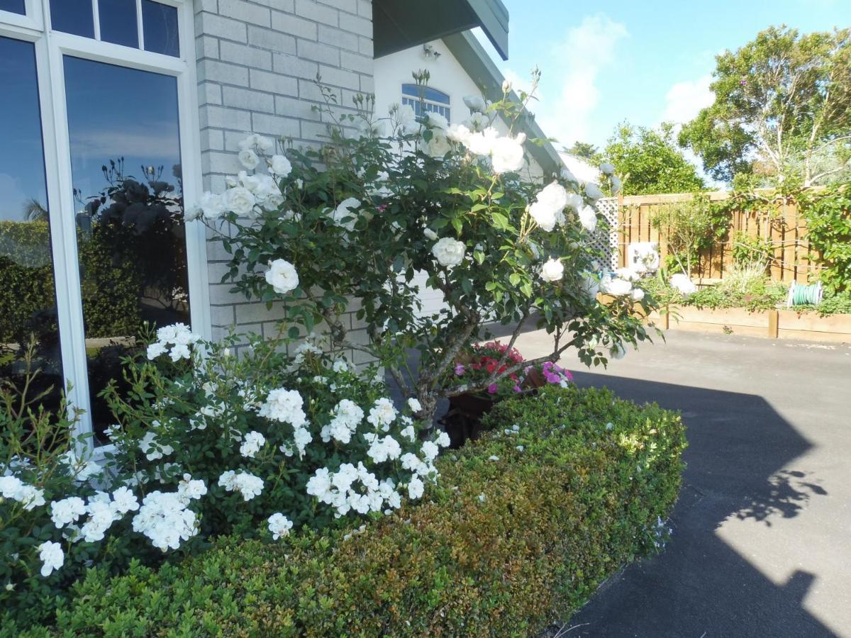 Apartament Hideaway Off Heta New Plymouth Zewnętrze zdjęcie